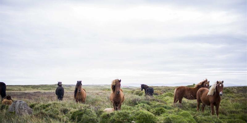 南美旅游：在波西米亚风的灵魂里，邂逅一场文化狂想