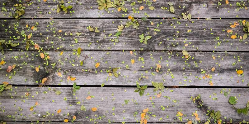 南美旅游是什么？一份解锁神秘大陆的终极探险指南