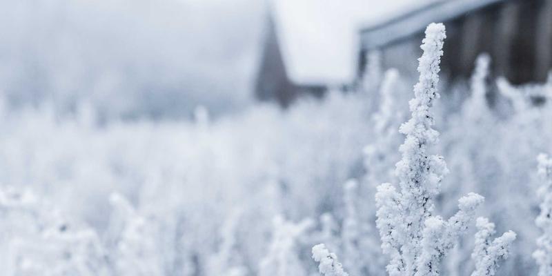 南美旅游终极指南：追随“南美天后”的足迹，探索神秘大陆的灵魂